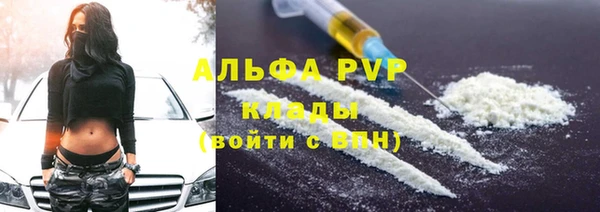 apvp Алзамай