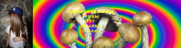 apvp Алзамай