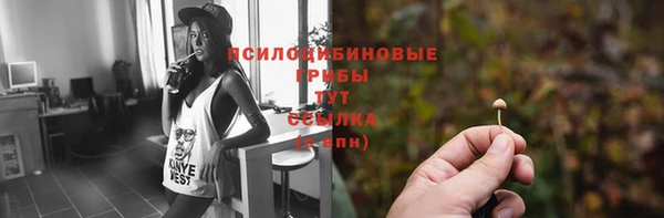 мескалин Алексин